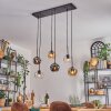 Ripoll Pendellampa, kullampa, Pendelbelysning Amber, Klart, Rökfärger, 6-ljuskällor