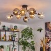 Ripoll Taklampa, kullampa Amber, Klart, Rökfärger, 8-ljuskällor