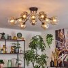 Ripoll Taklampa, kullampa Amber, Klart, Rökfärger, 10-ljuskällor