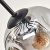 Ripoll Taklampa, kullampa Amber, Klart, Rökfärger, 10-ljuskällor