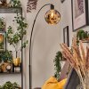 Ripoll Golvlampa Svart, 1-ljuskällor