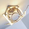 Globo Felin Taklampa LED Nickel matt, 1-ljuskällor