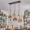 Ripoll Pendellampa, kullampa, Pendelbelysning Amber, Klart, Rökfärger, 6-ljuskällor