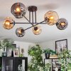 Ripoll Taklampa, kullampa Amber, Rökfärger, 6-ljuskällor