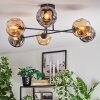 Ripoll Taklampa, kullampa Amber, Rökfärger, 6-ljuskällor