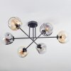 Ripoll Taklampa, kullampa Amber, Klart, Rökfärger, 6-ljuskällor