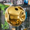 Ripoll Pendellampa, kullampa, Pendellampa Cluster Guld, 4-ljuskällor
