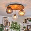 Koyoto Taklampa, kullampa Naturfärger, Svart, 3-ljuskällor