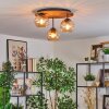 Koyoto Taklampa, kullampa Naturfärger, Svart, 3-ljuskällor