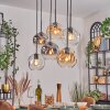 Ripoll Pendellampa, kullampa, Pendelbelysning Amber, Klart, Rökfärger, 6-ljuskällor