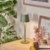 Salgadinho Bordslampa utomhus, badrumslampa, Bordslampa LED Grön, 1-ljuskällor