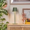 Salgadinho Bordslampa utomhus, badrumslampa, Bordslampa LED Grön, 1-ljuskällor