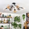 Gastor Taklampa, kullampa Amber, Klart, Rökfärger, 8-ljuskällor