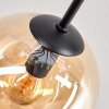 Gastor Taklampa, kullampa Amber, Klart, Rökfärger, 8-ljuskällor