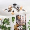 Gastor Taklampa, kullampa Amber, Klart, Rökfärger, 8-ljuskällor
