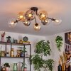 Gastor Taklampa, kullampa Amber, Klart, Rökfärger, 8-ljuskällor
