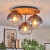 Koyoto Taklampa, kullampa Naturfärger, Svart, 3-ljuskällor