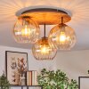Koyoto Taklampa, kullampa Naturfärger, Svart, 3-ljuskällor