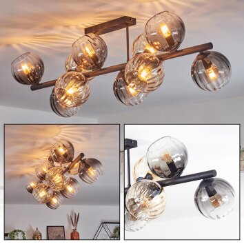 Koyoto Taklampa, kullampa Amber, Klart, Rökfärger, 10-ljuskällor