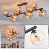 Koyoto Taklampa, kullampa Amber, Klart, 10-ljuskällor