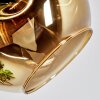 Ripoll Taklampa, kullampa Krom, Guld, Kopparfärg, Rökfärger, 6-ljuskällor