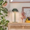 Laken Bordslampa utomhus, badrumslampa, Bordslampa LED Grön, 1-ljuskällor