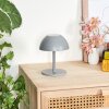 Laken Bordslampa utomhus, badrumslampa, Bordslampa LED Grått, 1-ljuskällor