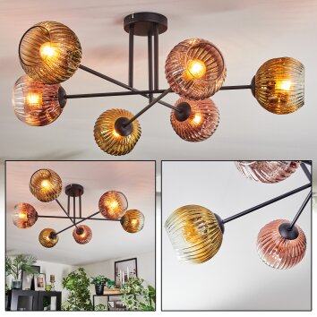 Ripoll Taklampa, kullampa Guld, Klart, Kopparfärg, 6-ljuskällor