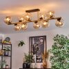 Gastor Taklampa, kullampa Guld, Svart, 10-ljuskällor