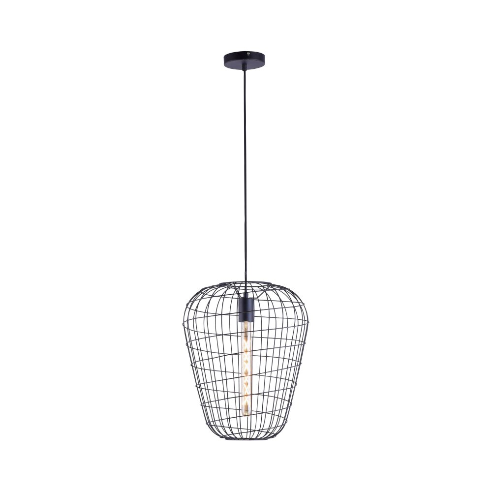 Leuchten Direkt FABIO Pendelbelysning Svart, 1-ljuskällor main product photo