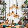 Ripoll Pendellampa, kullampa, Pendelbelysning Amber, Klart, 6-ljuskällor