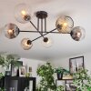 Ripoll Taklampa, kullampa Amber, Klart, Rökfärger, 6-ljuskällor