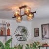 Koyoto Taklampa, kullampa Amber, Klart, Rökfärger, 8-ljuskällor
