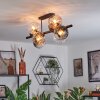 Koyoto Taklampa, kullampa Amber, Klart, Rökfärger, 8-ljuskällor