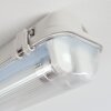 Ilena Taklampa för utomhusbruk, Utomhusbelysning, badrumslampa, strålkastare, Taklampa LED Grått, 1-ljuskällor