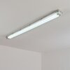 Ilena Taklampa för utomhusbruk, Utomhusbelysning, badrumslampa, strålkastare, Taklampa LED Grått, 1-ljuskällor