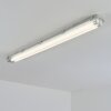 Ilena Utomhusbelysning, badrumslampa, Taklampa LED Grått, 1-ljuskällor