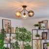 Koyoto Taklampa, kullampa Amber, Klart, Rökfärger, 3-ljuskällor