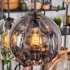 Koyoto Pendellampa, kullampa, Pendelbelysning Amber, Klart, Rökfärger, 6-ljuskällor