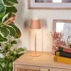 Salgadinho Bordslampa utomhus, Bordslampa LED Vit, 1-ljuskällor