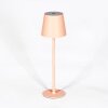 Salgadinho Bordslampa utomhus, Bordslampa LED Vit, 1-ljuskällor