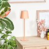 Salgadinho Bordslampa utomhus, Bordslampa LED Vit, 1-ljuskällor