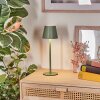 Salgadinho Bordslampa utomhus, badrumslampa, Bordslampa LED Grön, 1-ljuskällor