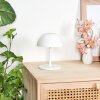 Laken Bordslampa utomhus, badrumslampa, Bordslampa LED Vit, 1-ljuskällor