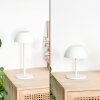 Laken Bordslampa utomhus, badrumslampa, Bordslampa LED Vit, 1-ljuskällor