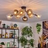 Koyoto Taklampa, kullampa 85 cm Amber, Klart, Rökfärger, 8-ljuskällor