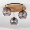 Koyoto Taklampa, kullampa Naturfärger, Svart, 3-ljuskällor