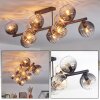 Koyoto Taklampa, kullampa Amber, Klart, Rökfärger, 10-ljuskällor