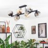 Koyoto Taklampa, kullampa Amber, Klart, Rökfärger, 10-ljuskällor