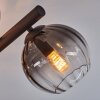 Koyoto Taklampa, kullampa Amber, Klart, Rökfärger, 10-ljuskällor